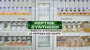 Custom Peptide Order